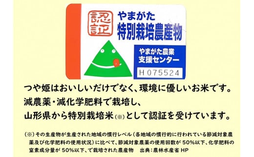 【数量限定・予約販売】小国のお米【特別栽培米・つや姫】5kg/東部開発