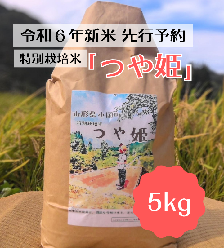 【数量限定】【予約販売】小国のお米【特別栽培米・つや姫】5kg/東部開発
