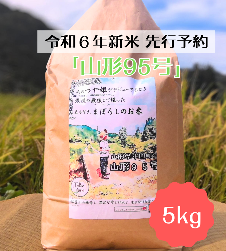 【数量限定・予約販売】小国のお米【山形95号】5kg/東部開発